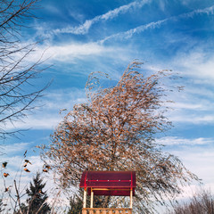 Arbor with a red roof on a background of willow and blue sky with white clouds.