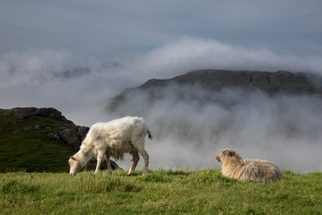 Färöer - Inseln im Nordatlantik