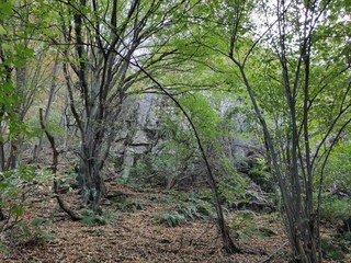 Mountain Rudnik Serbia Ostrovica peak forest scenery in autumn huge rocks