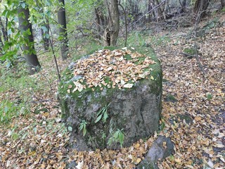 Mountain Rudnik Serbia Ostrovica peak forest scenery in autumn huge rocks