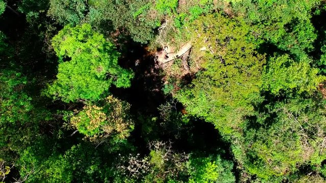 Aerial drone footage descending into a clearing in a forest with showing people from a distance playing in the water.