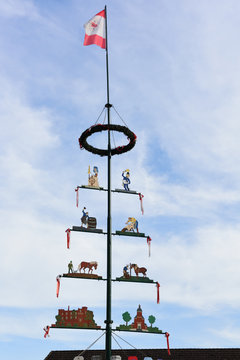 zunftbaum in krefeld oppum, stadteil linn