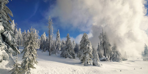 Fototapeta na wymiar Schnee in den Bergen