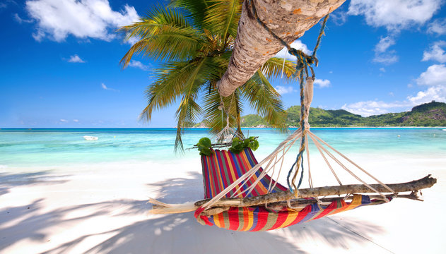 รูปภาพParadies – เลือกดูภาพถ่ายสต็อก เวกเตอร์ และวิดีโอ54,142 | Adobe Stock