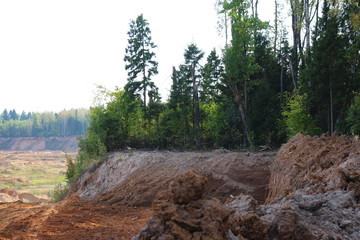 Mining a sand pit captures the forest
