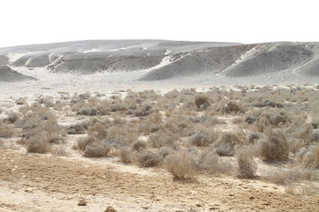 Fototapeta na wymiar Paysage désertique