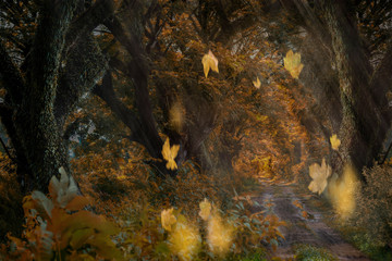Sun shining through a forest on a path covered with fallen leaves during Autumn
