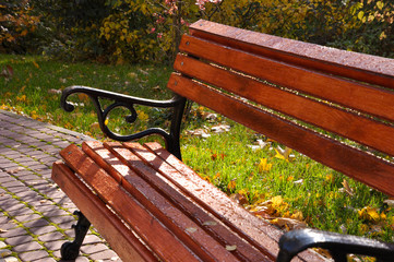 bench in the park after autumn rain