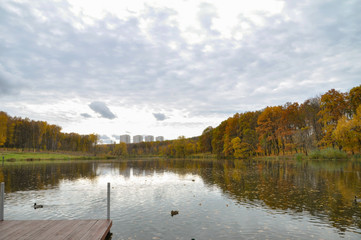Landscape in cloudy october day with trees pond and part of wooden pier.