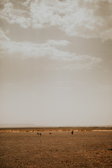 Uitzicht op de Sahara-woestijn en berberherder met dieren op de achtergrond.