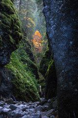 Rocks 1