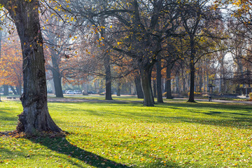 Autumn in the Treptower Park
