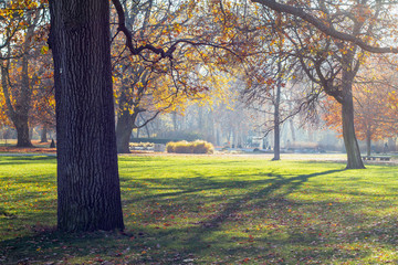 Autumn in the Treptower Park