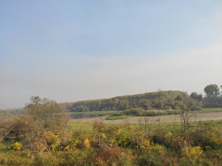 Fototapeta premium River danube canal in Banat Serbia near Smederevo wildlife reserve