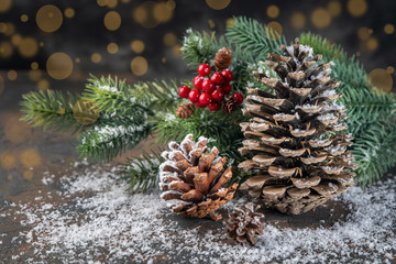 Christmas Decoration greeting card- Snowy Pine Cones On Fir Branch With Christmas Lights