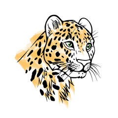Leopard head portrait black outlines and orange watercolor stains. Vector illustration isolated on white background. Print for t-shirt, tattoo, element for design.