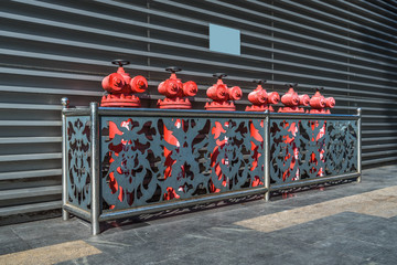 the Red fire hydrant in the outside.