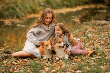Naklejka na ściany i meble girls with two corgis sitting in the park at fall time