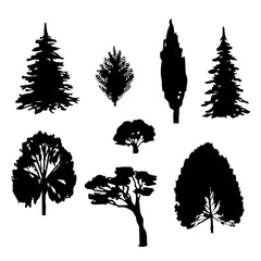 Set of trees of various forms of breeds. Black silhouette of deciduous coniferous trees. Vector objects illustration isolated on white background.