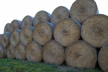  Close-up of cylindrical hay bales on farmland against a blue sky. Autumn landscape of cylindrical...