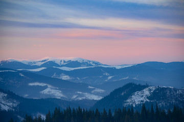 Obraz na płótnie Canvas Beautiful Sunset in the Winter Mountains. Landscape with Snow Covered Fir Trees on the Mountain Hills in Fog.