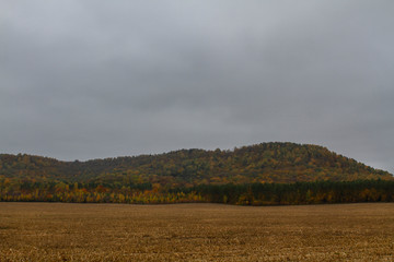 Fototapeta premium Autumn landscape of corn field and forest