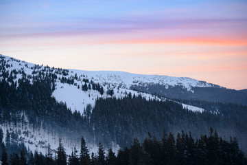 Naklejka na ściany i meble Beautiful Sunset in the Winter Mountains. Landscape with Snow Covered Fir Trees on the Mountain Hills in Fog.