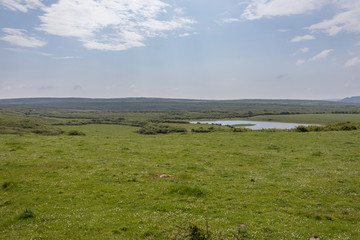 Die Westk&uuml;ste von Irland