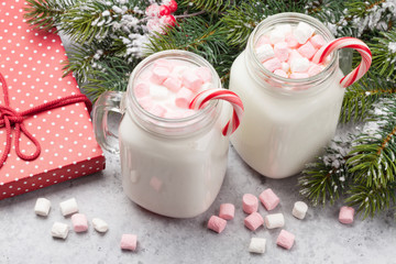 Traditional christmas cocktail with marshmallow
