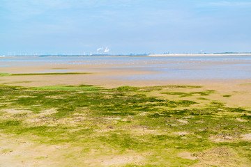 Sandflat landscape of nature reserve near Maasvlakte and Rotterdam, Netherlands