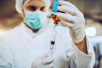 Close up of caucasian veterinarian in protective uniform and with rubber gloves filling syringe...