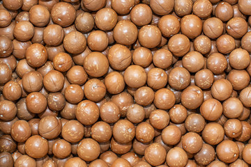 Macadamia Tetraphylla background, lots of nuts ready to be shelled.