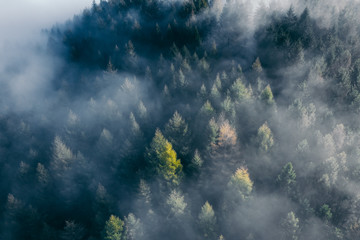 Der Teutoburger Wald im Nebel