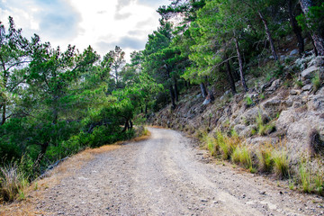 Fototapeta na wymiar Mountain road through pines. Turkey, Kemer.
