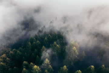 Der Teutoburger Wald im Nebel