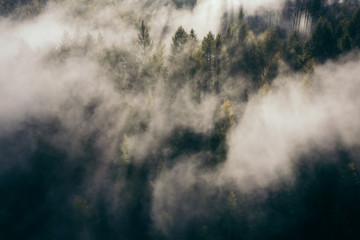Der Teutoburger Wald im Nebel