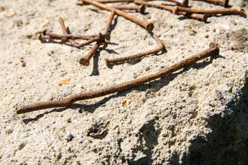 Old Rusty Nails on concrete