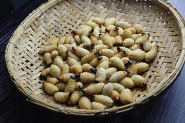 sago grub placed on a bamboo tray, top view.