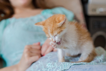 Cute citten wash his paws indoor. Small kitty.