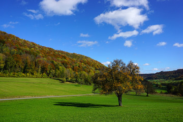 Herbstlandschaft auf der Schw&auml;bischen Alb