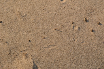 Fototapeta na wymiar The texture of sand and soil