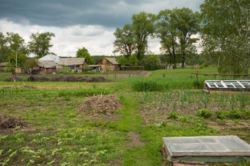 Vegetable garden in the Ukrainian village, organic farming, greenhouses and hay