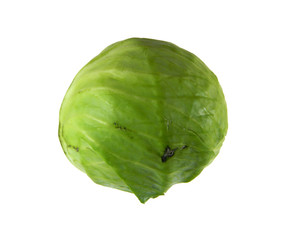 cabbage isolated on white background