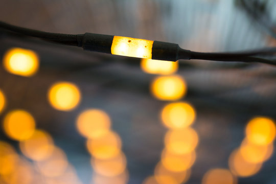 Orange Garland In Soft Focus