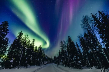 Abwaschbare Fototapete Krankenhaus Bunte polare arktische Nordlichter Aurora Borealis-Aktivität im Schneewinterwald in Finnland