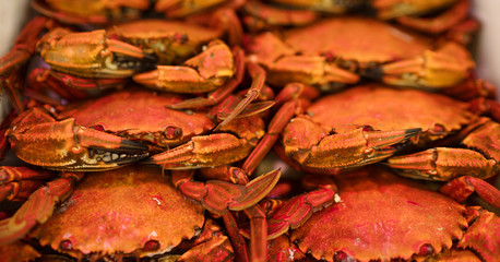 Red crabs background lying in seafood store. Healthy natural meals concept image.