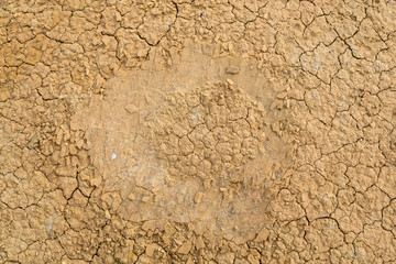 Clay sandy earth parched and cracked