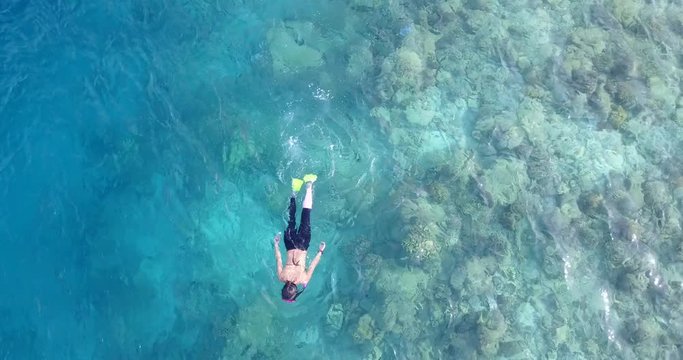 Woman underwater in the ocean looking at the wildlife