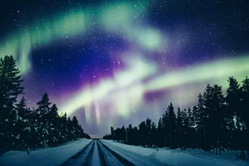 Poster Northern Lights Colorful polar arctic Northern lights Aurora Borealis activity in snow winter forest in Finland