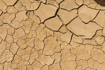 Clay sandy earth parched and cracked
